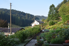 Blick in den Garten