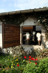 Der neue Kuhstall ©https://www.familienurlaub-steinackerhof.de/index.html